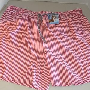 Red and White Striped Swim Shorts